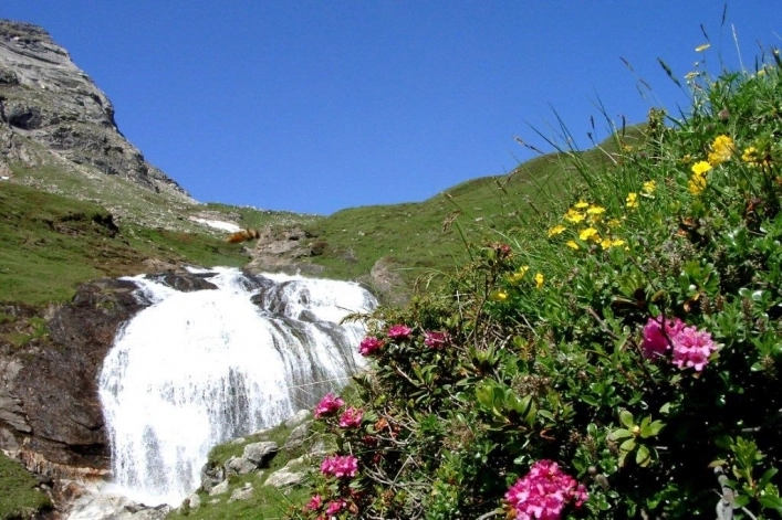 Sommer- und Wintercamping Ramsbacher - zdjęcie 2