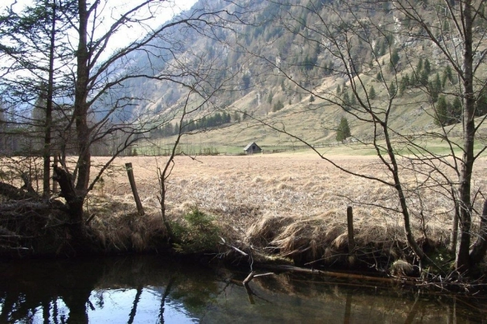 Sommer- und Wintercamping Ramsbacher - zdjęcie 1