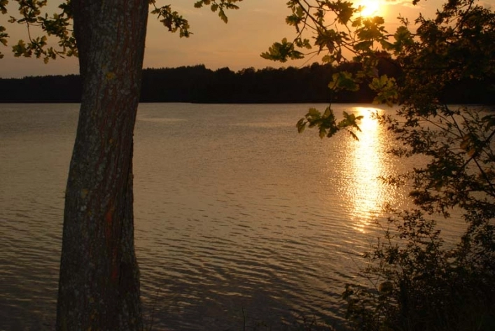 zobacz camping - zdjęcie 28