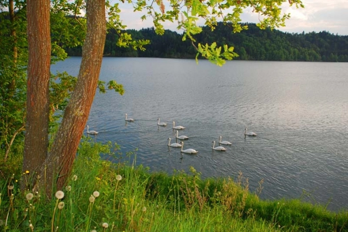 zobacz camping - zdjęcie 22