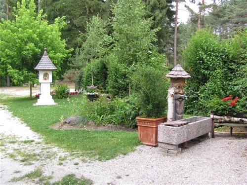 zobacz camping - zdjęcie 18