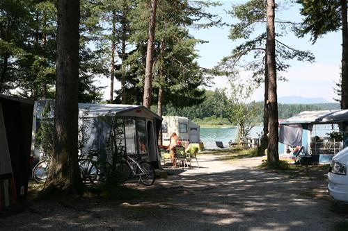 zobacz camping - zdjęcie 3
