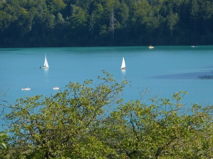 zobacz camping - zdjęcie 30