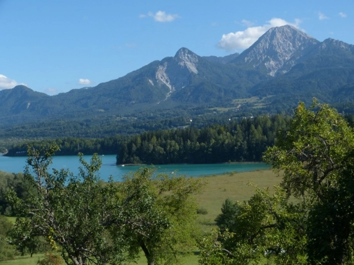 zobacz camping - zdjęcie 18