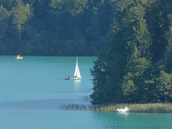 zobacz camping - zdjęcie 8