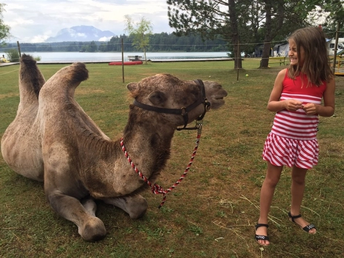 zobacz camping - zdjęcie 7