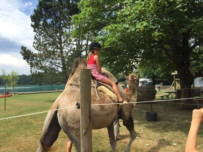 Strandcamping Gruber - zdjęcie 2