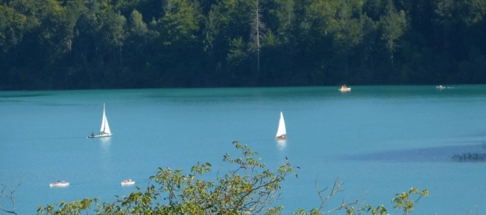 zobacz camping - zdjęcie 1