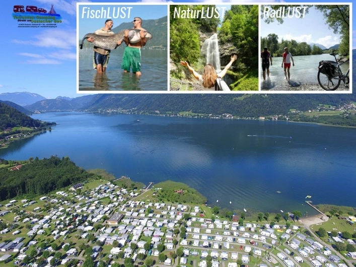 zobacz camping - zdjęcie 21