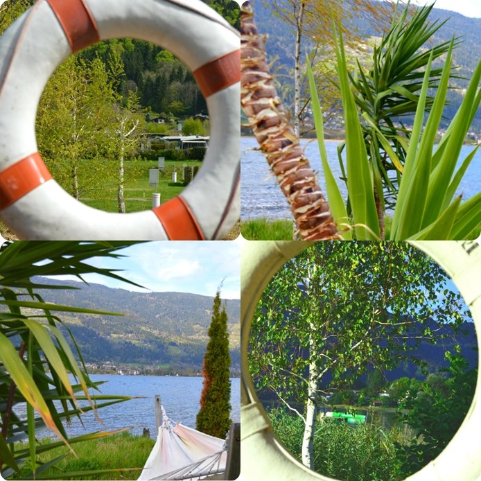 zobacz camping - zdjęcie 16