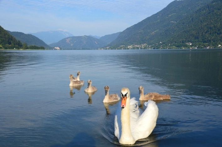 Terrassen Camping Ossiacher See - zdjęcie 4