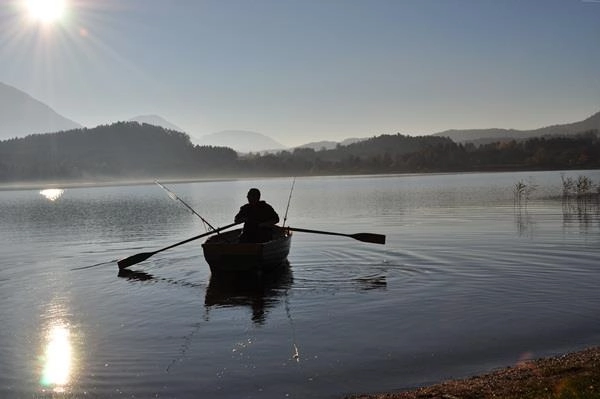 zobacz camping - zdjęcie 16