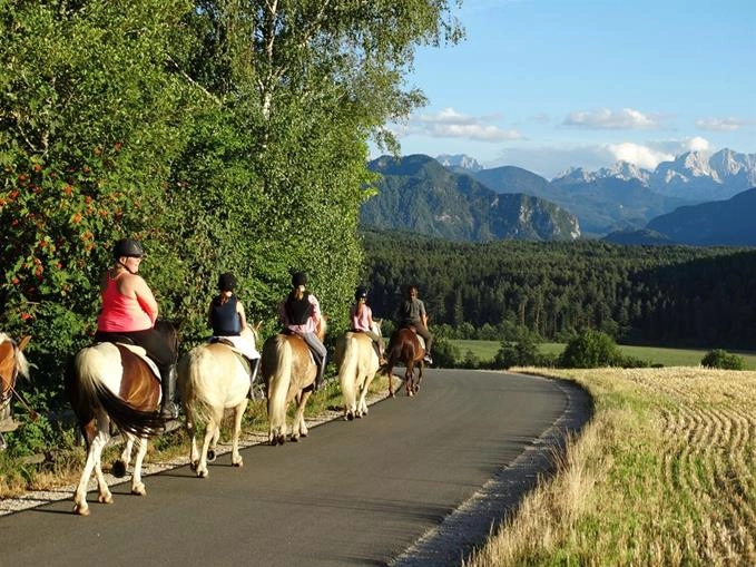 zobacz camping - zdjęcie 9