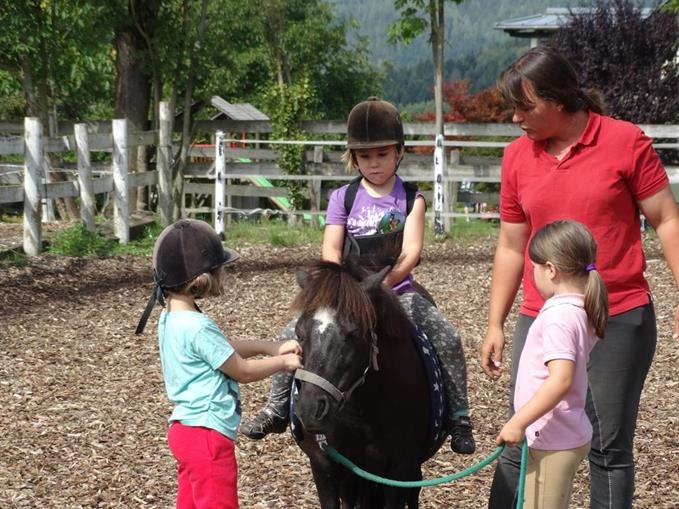 zobacz camping - zdjęcie 6