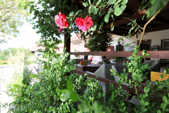 zobacz camping - zdjęcie 16