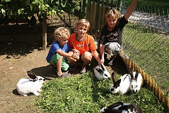 zobacz camping - zdjęcie 14