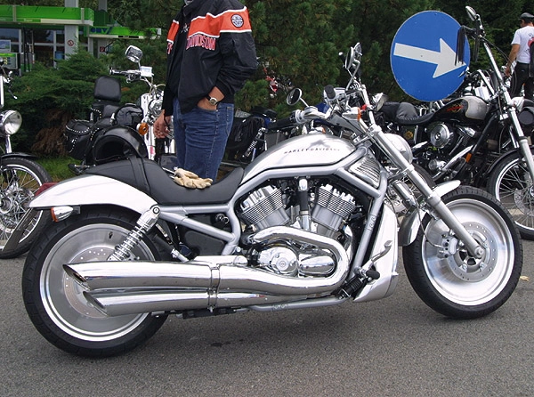 zobacz camping - zdjęcie 12