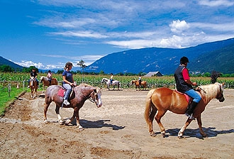 zobacz camping - zdjęcie 10