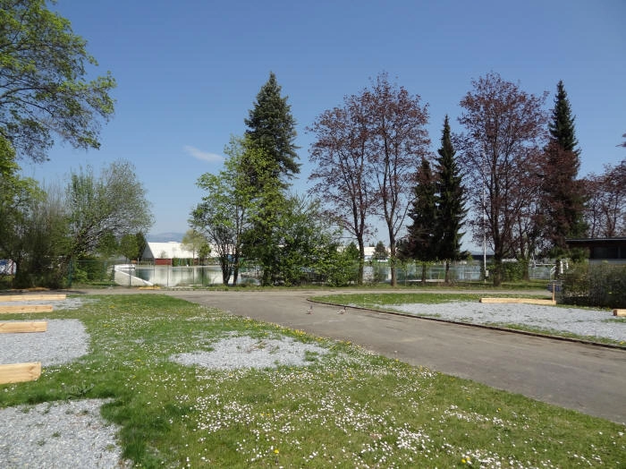 zobacz camping - zdjęcie 6