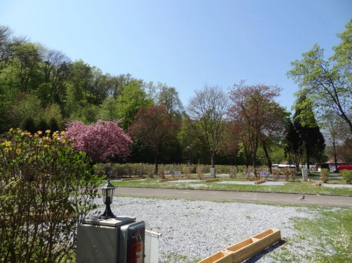 zobacz camping - zdjęcie 2