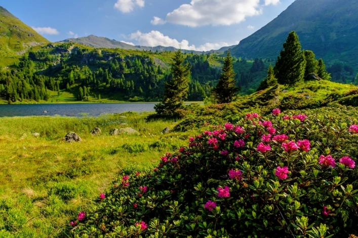 zobacz camping - zdjęcie 23