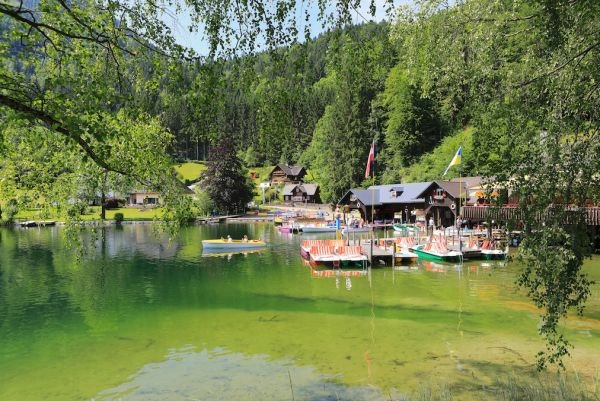 zobacz camping - zdjęcie 17