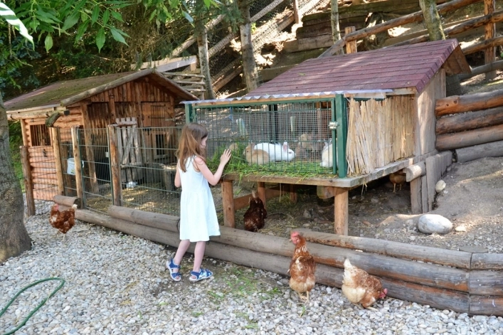 zobacz camping - zdjęcie 9