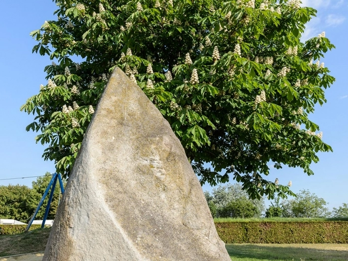 zobacz camping - zdjęcie 25