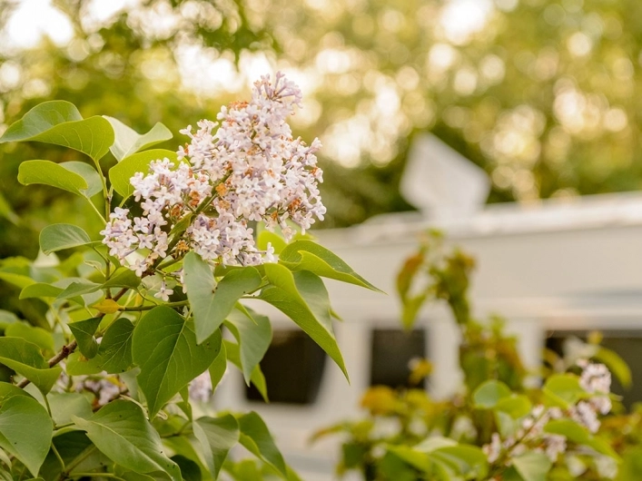 zobacz camping - zdjęcie 20