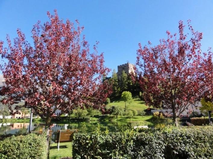 zobacz camping - zdjęcie 21