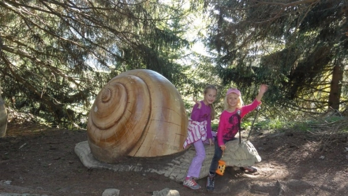 zobacz camping - zdjęcie 20