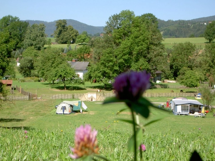 zobacz camping - zdjęcie 25