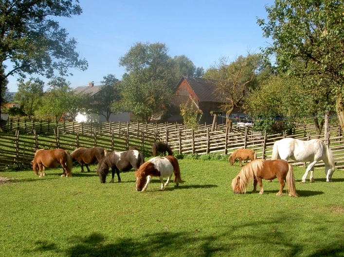 zobacz camping - zdjęcie 12