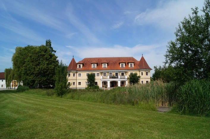 zobacz camping - zdjęcie 19