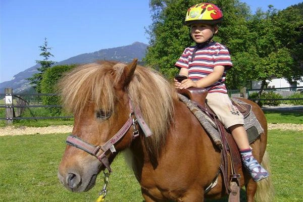 zobacz camping - zdjęcie 16