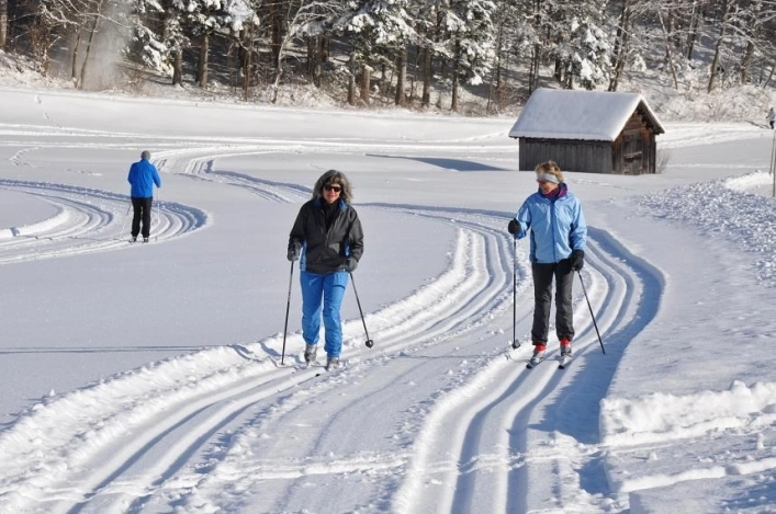 zobacz camping - zdjęcie 19