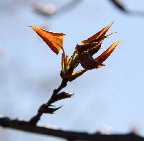 zobacz camping - zdjęcie 7