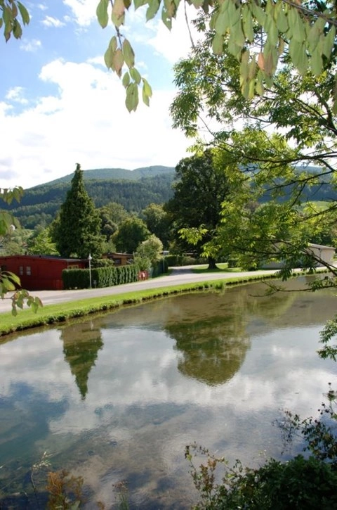 zobacz camping - zdjęcie 10