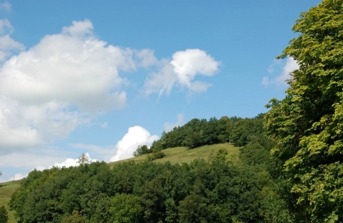 Auwerk-Camping - zdjęcie 3