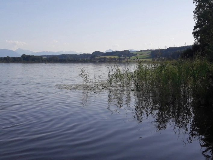 Bade- und Campingplatz Perwang am Grabensee - zdjęcie 2