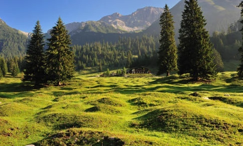 zobacz camping - zdjęcie 5