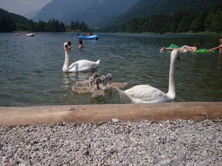 zobacz camping - zdjęcie 18