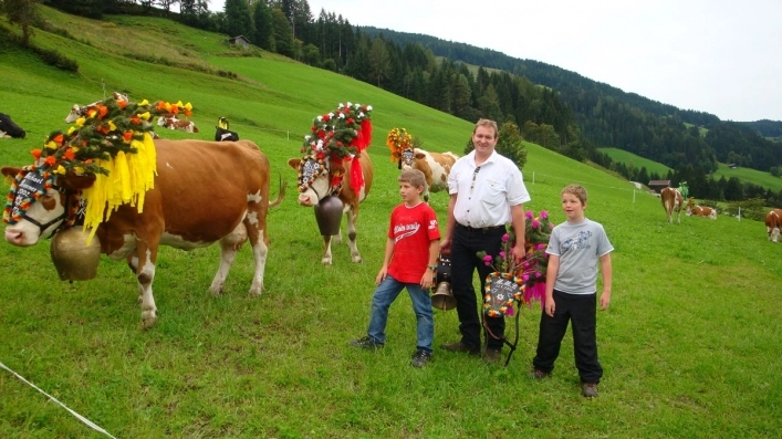 zobacz camping - zdjęcie 16