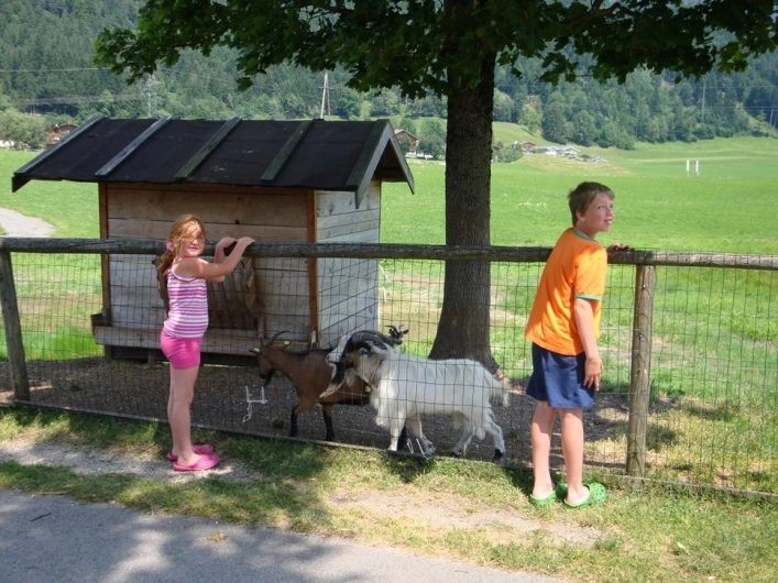 Camping & Appartements Seehof - zdjęcie 1