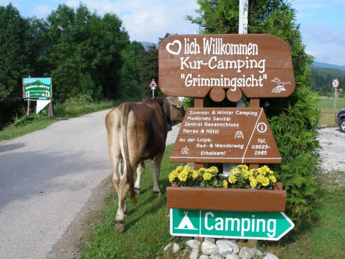 zobacz camping - zdjęcie 13