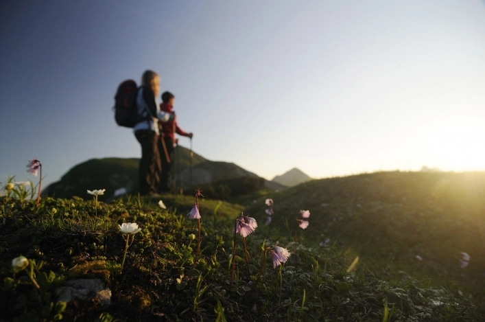 Camping Alpenwelt - zdjęcie 2