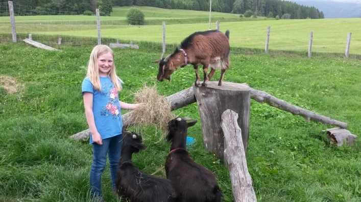 zobacz camping - zdjęcie 8