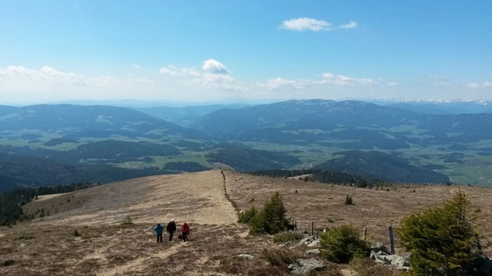 zobacz camping - zdjęcie 7