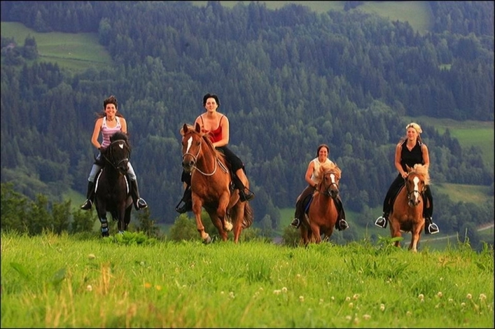 zobacz camping - zdjęcie 5