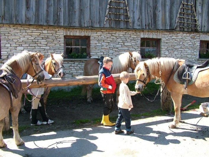Camping am Pürcherhof - zdjęcie 1
